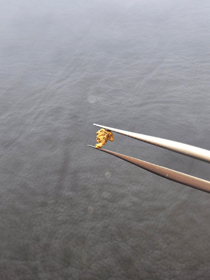 0.07g Gold Nugget