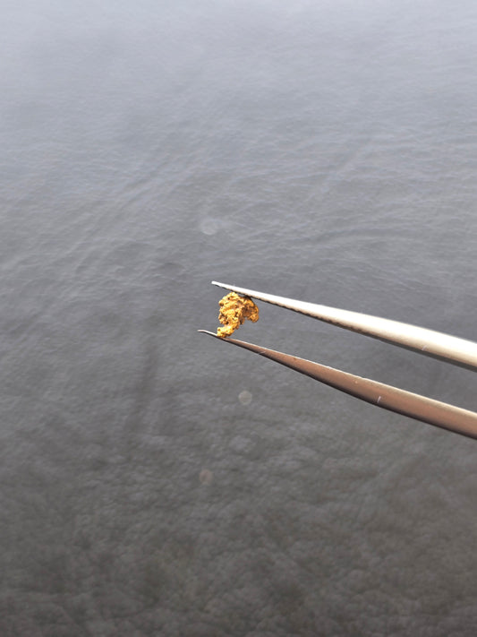 0.07g Gold Nugget