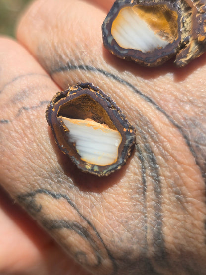 Opal Nut