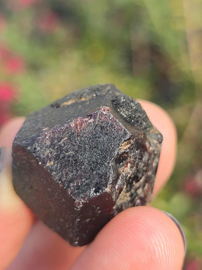 NSW Raw Garnet
