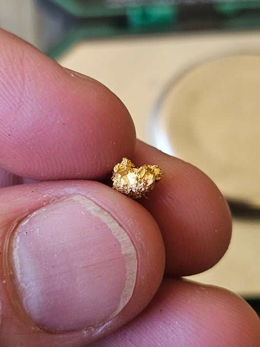 Reef Gold Specimen 0.76 Grams