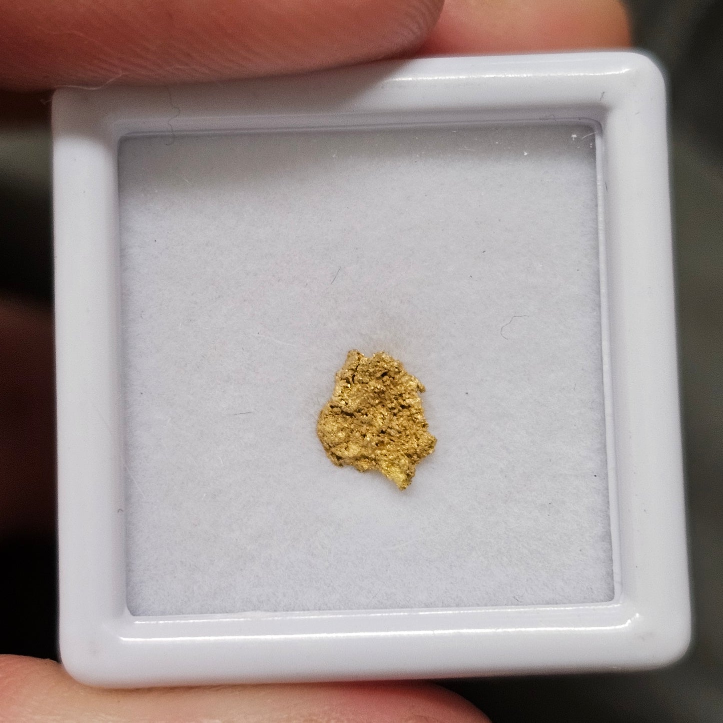 0.28g Reef Gold Specimen
