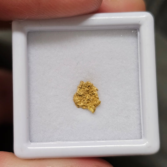 0.28g Reef Gold Specimen