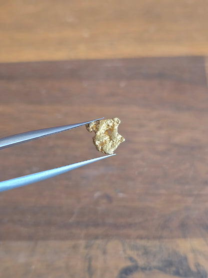 0.77g Gold Nugget