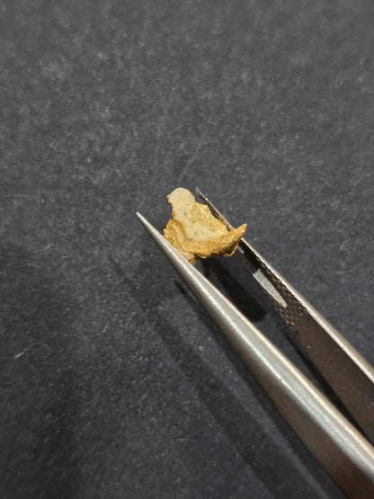 0.446 gold leaf nugget
