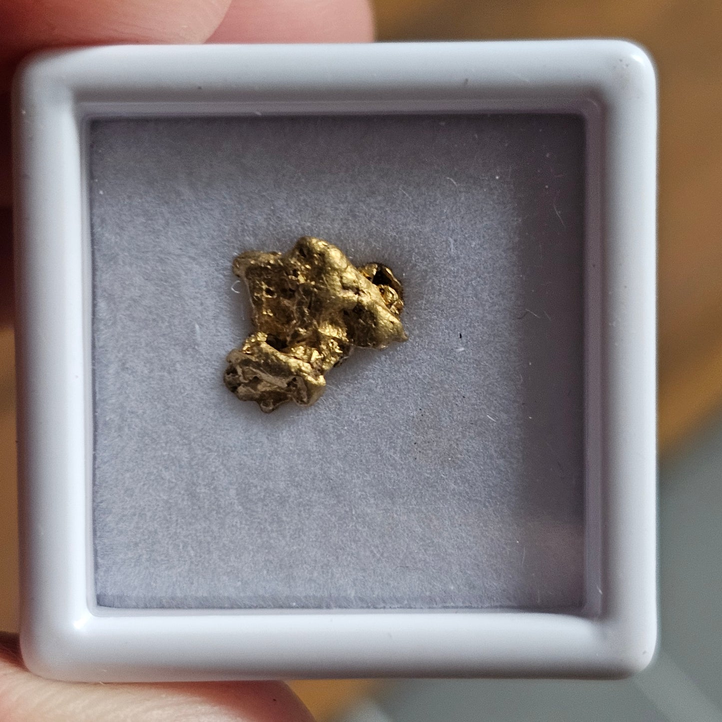 0.83 FNQ gold nugget