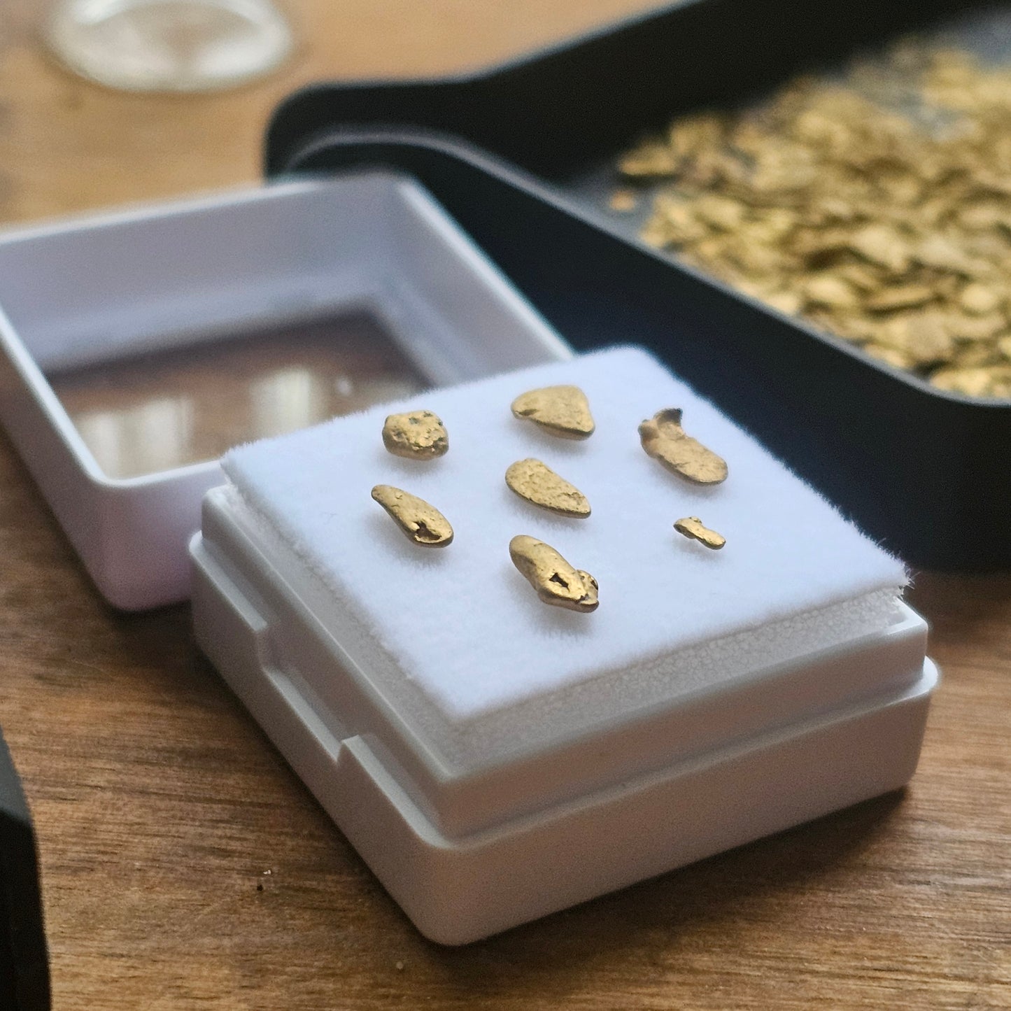 1 Gram Alpine Gold Parcels
