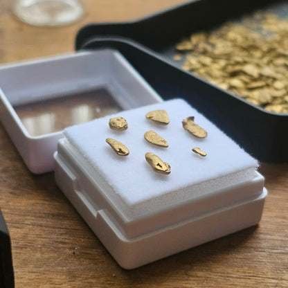 1 Gram Alpine Gold Parcels