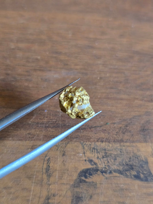 1.89g Gold Nugget