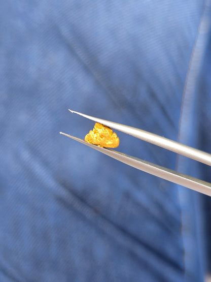0.50g Gold Nugget