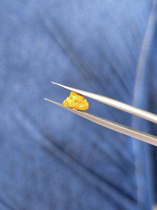 0.50g Gold Nugget