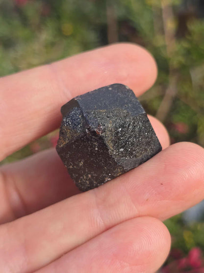 NSW Raw Garnet