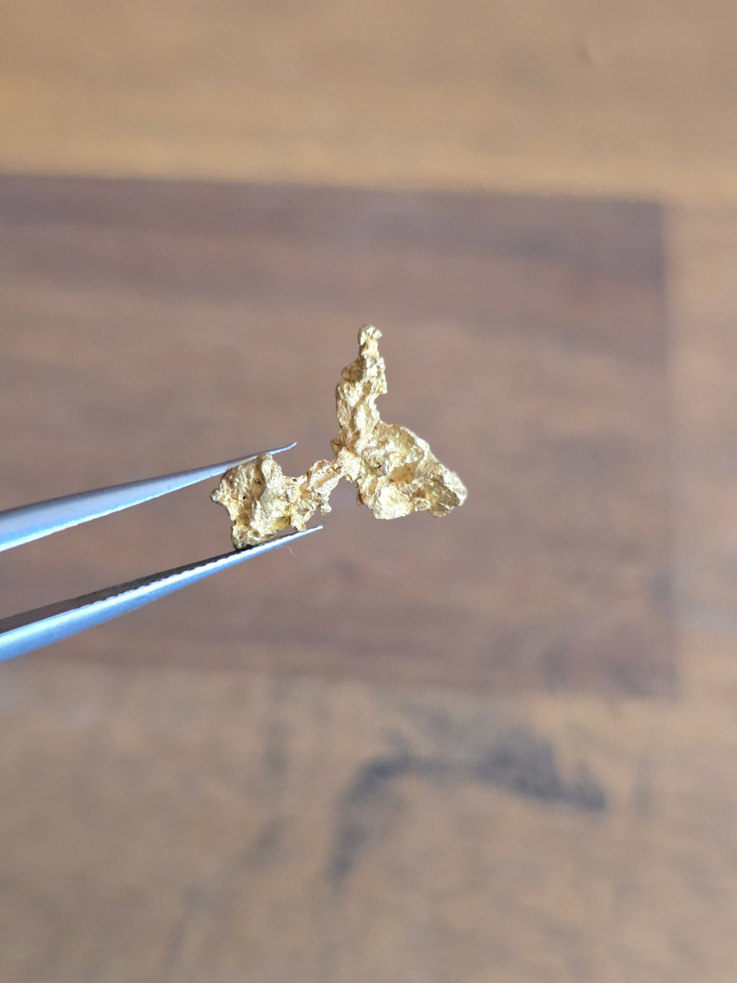 1.34g Gold Nugget