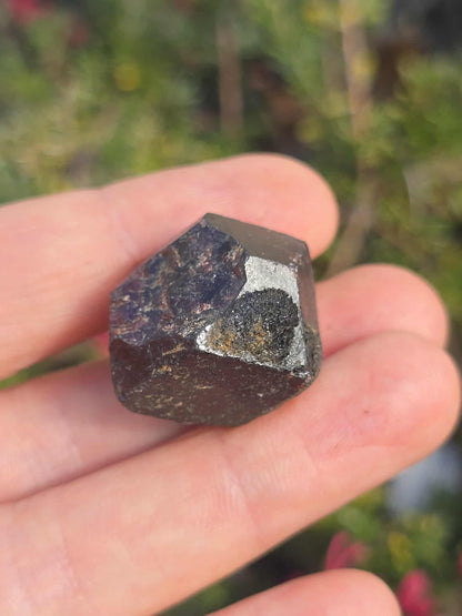 NSW Raw Garnet