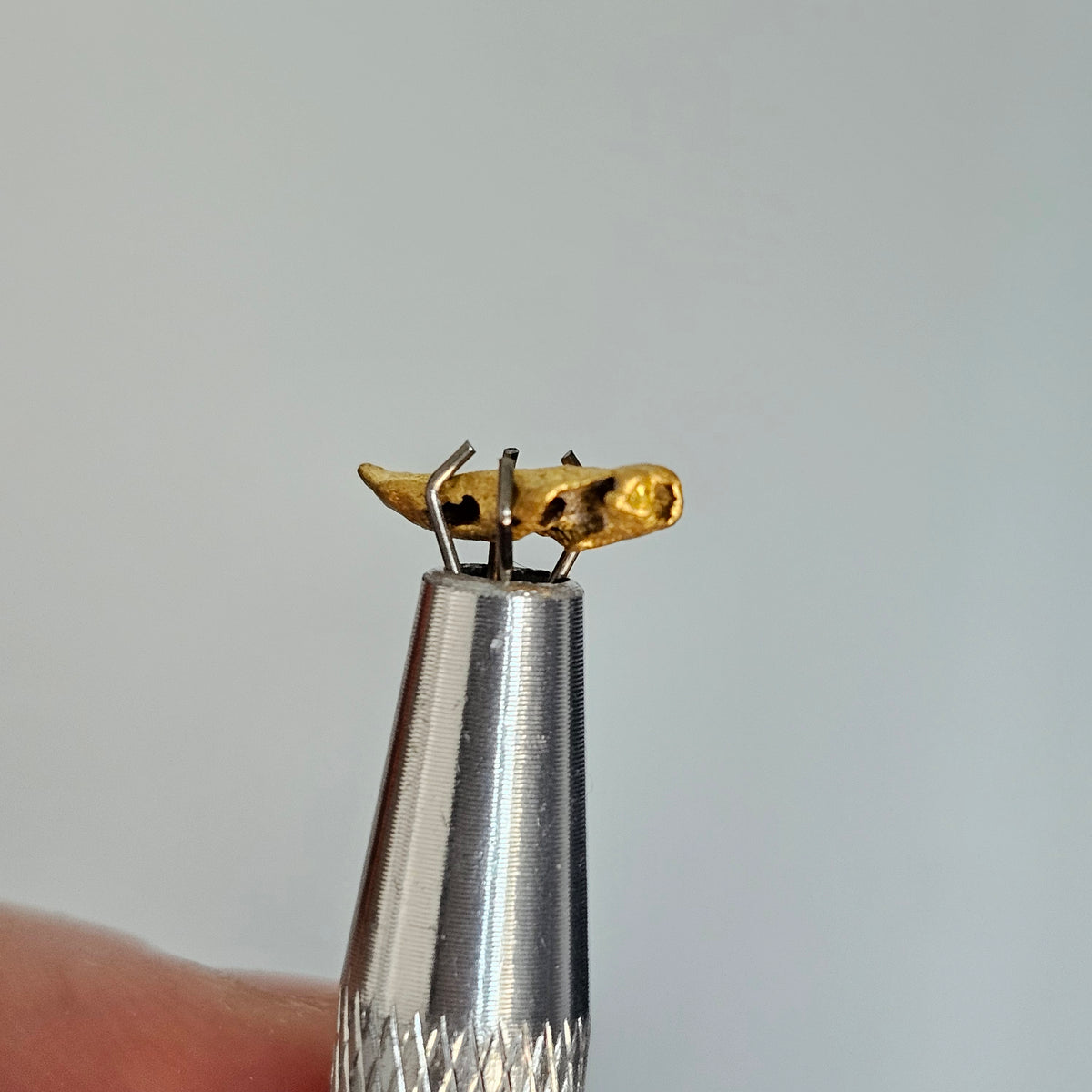 0.827 Western Australia Gold Nugget