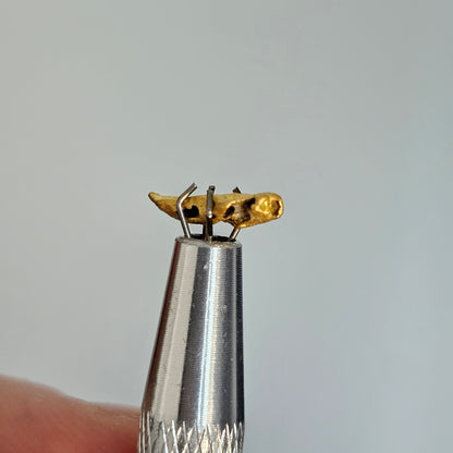0.827 Western Australia Gold Nugget