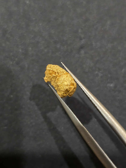 0.59 Gold Leaf Nugget.