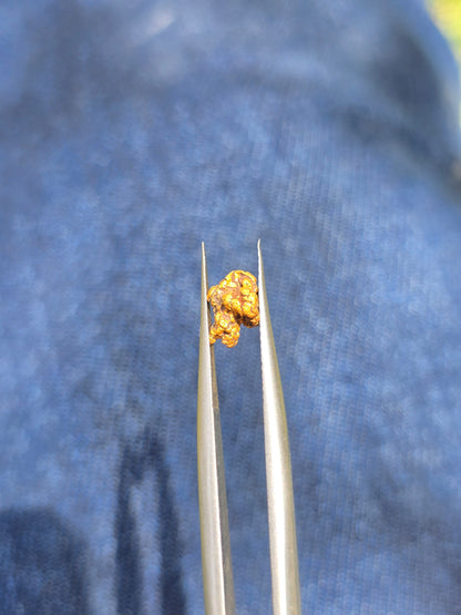 0.53g Gold Nugget