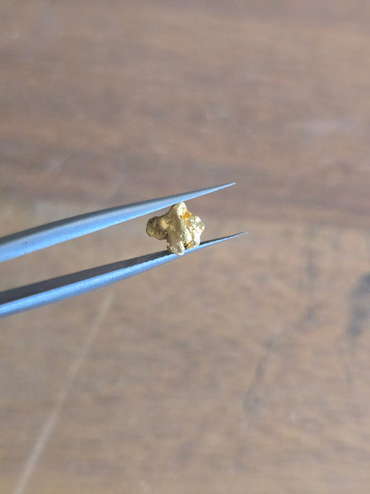 0.54g Gold Nugget