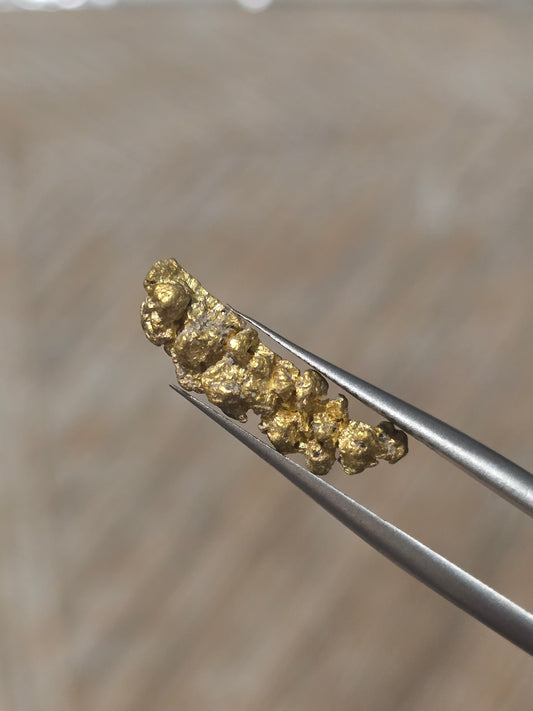 1.591g Clearmont gold nugget