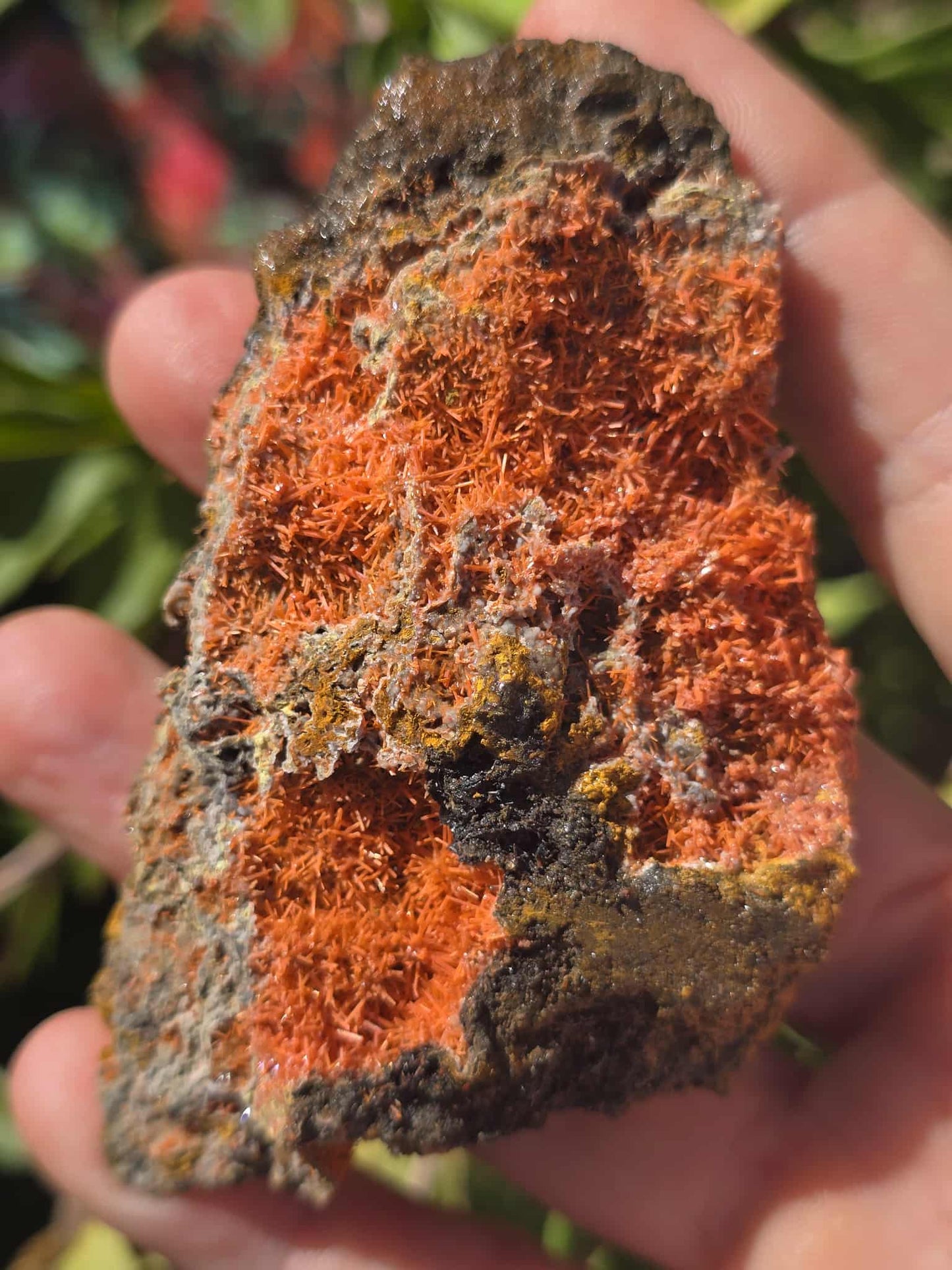 Rare Crocoite specimen Lrg