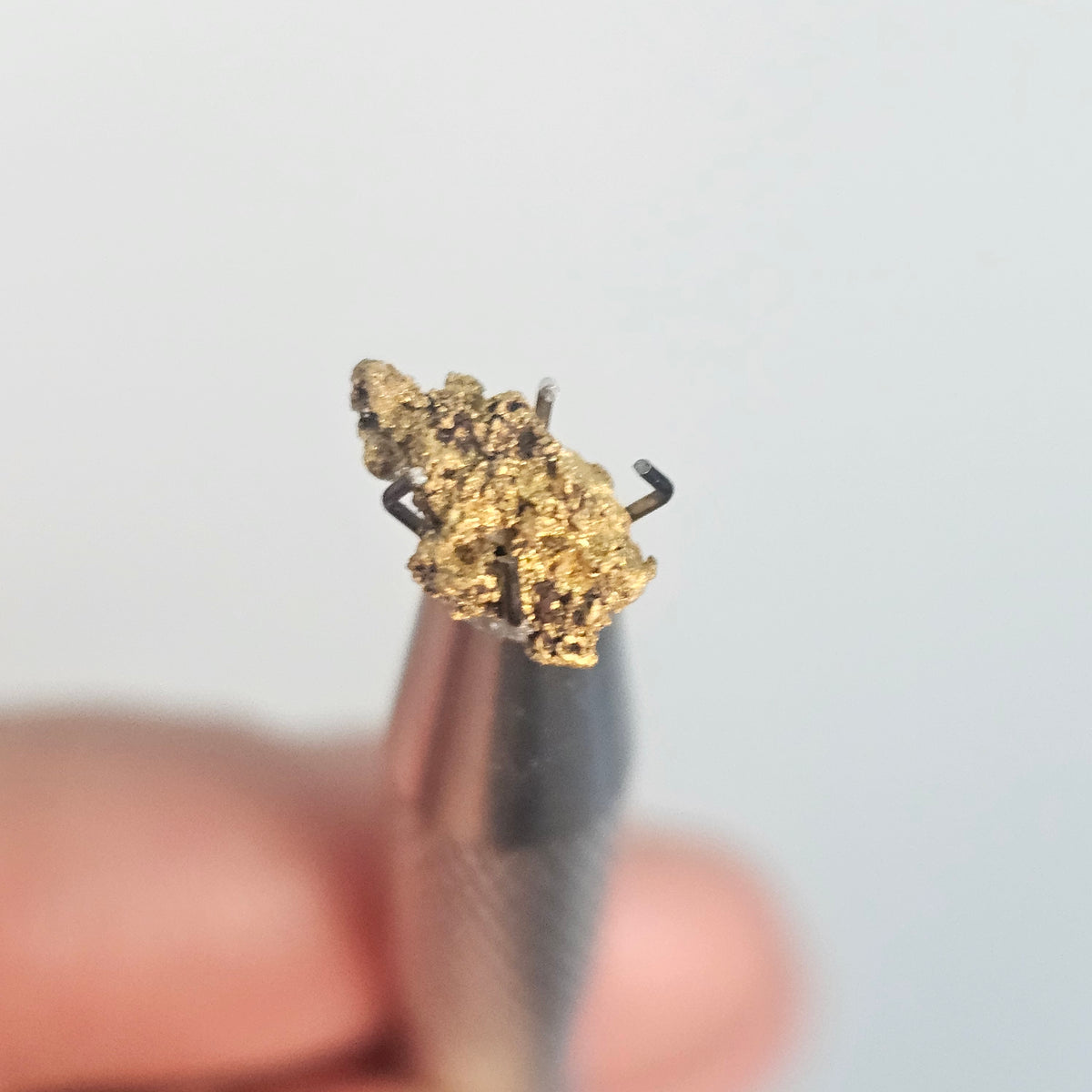 0.527g WA Reef Specimen