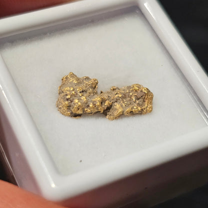 1.556g Ballarat Gold Nugget