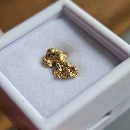 1.10g FNQ gold nugget