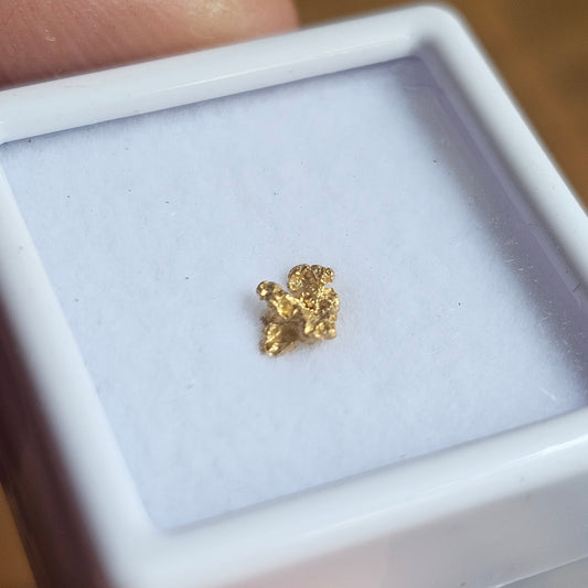0.204g Bendigo Gold Nugget
