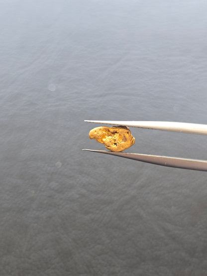 0.81g Gold Nugget
