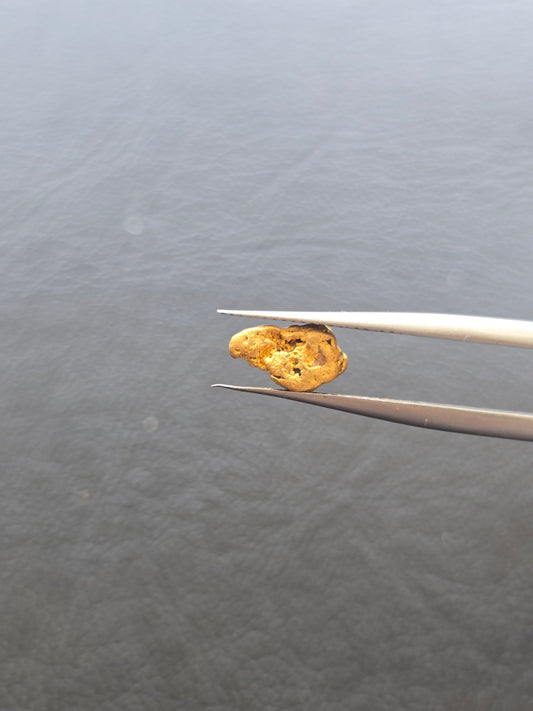 0.81g Gold Nugget