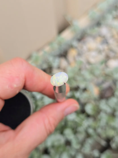 Opal, White Range Red flash.
