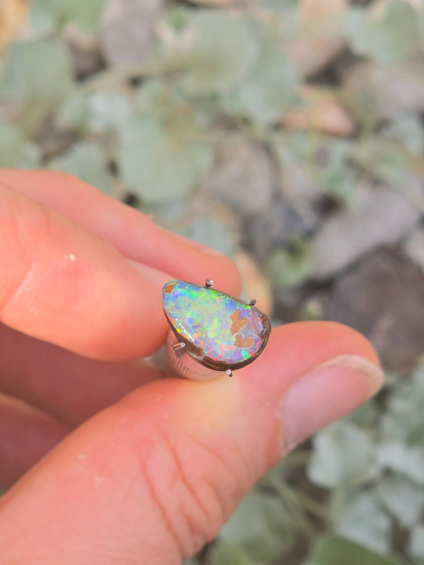 Boulder opal