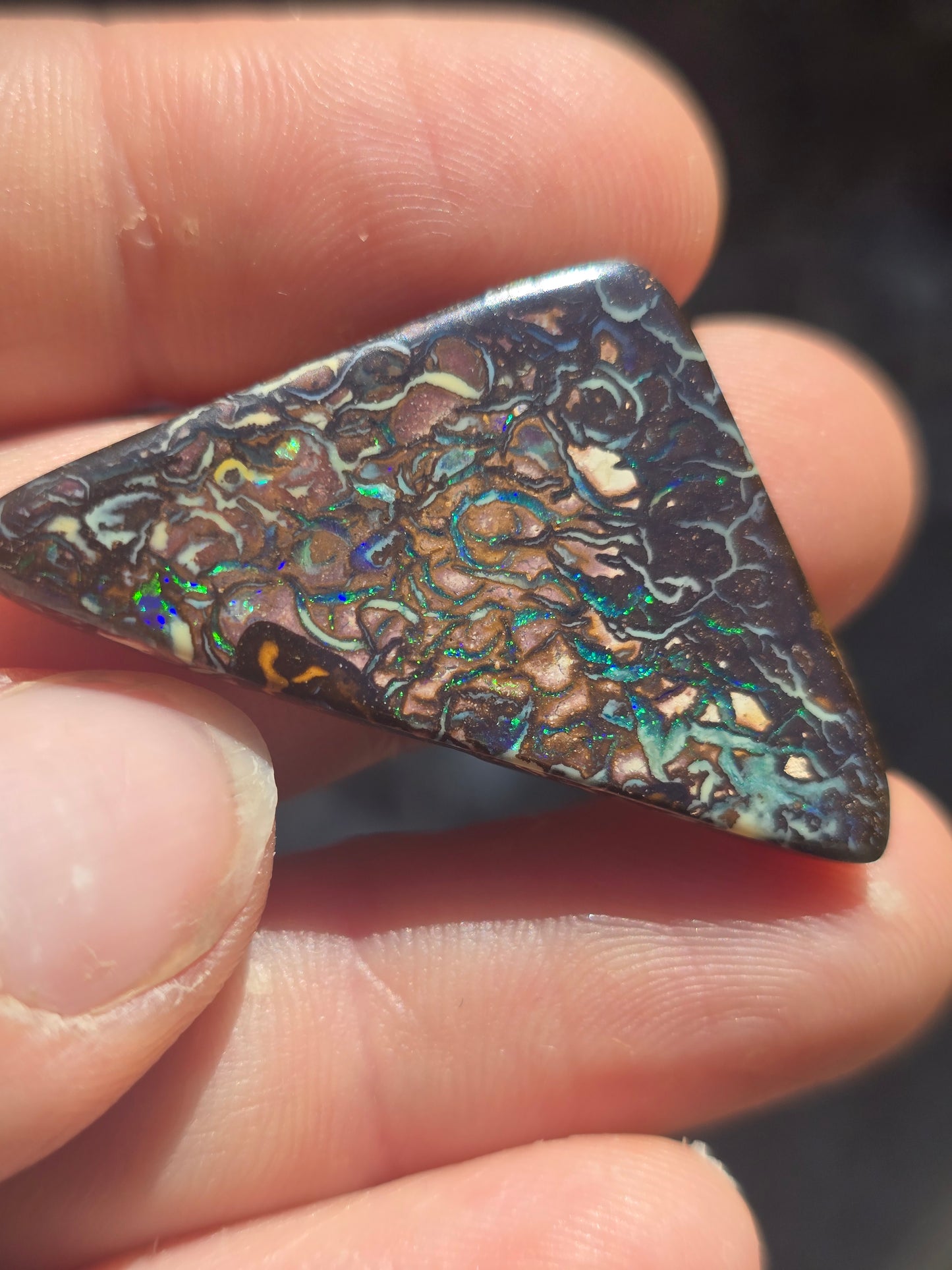 Queensland boulder opal