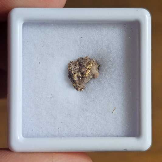 0.75g Rushworth Gold Specimen