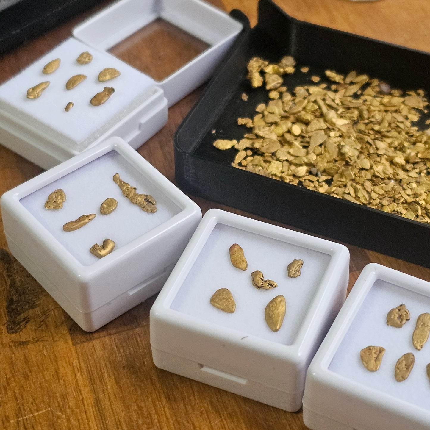 1 Gram Alpine Gold Parcels