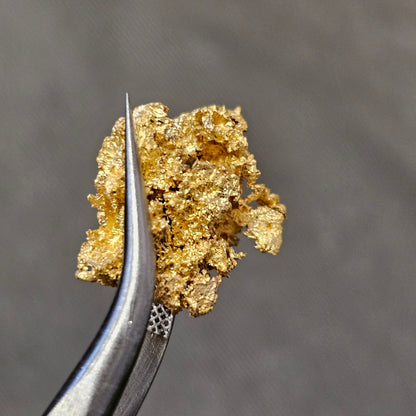 2.19g Reef Gold Nugget