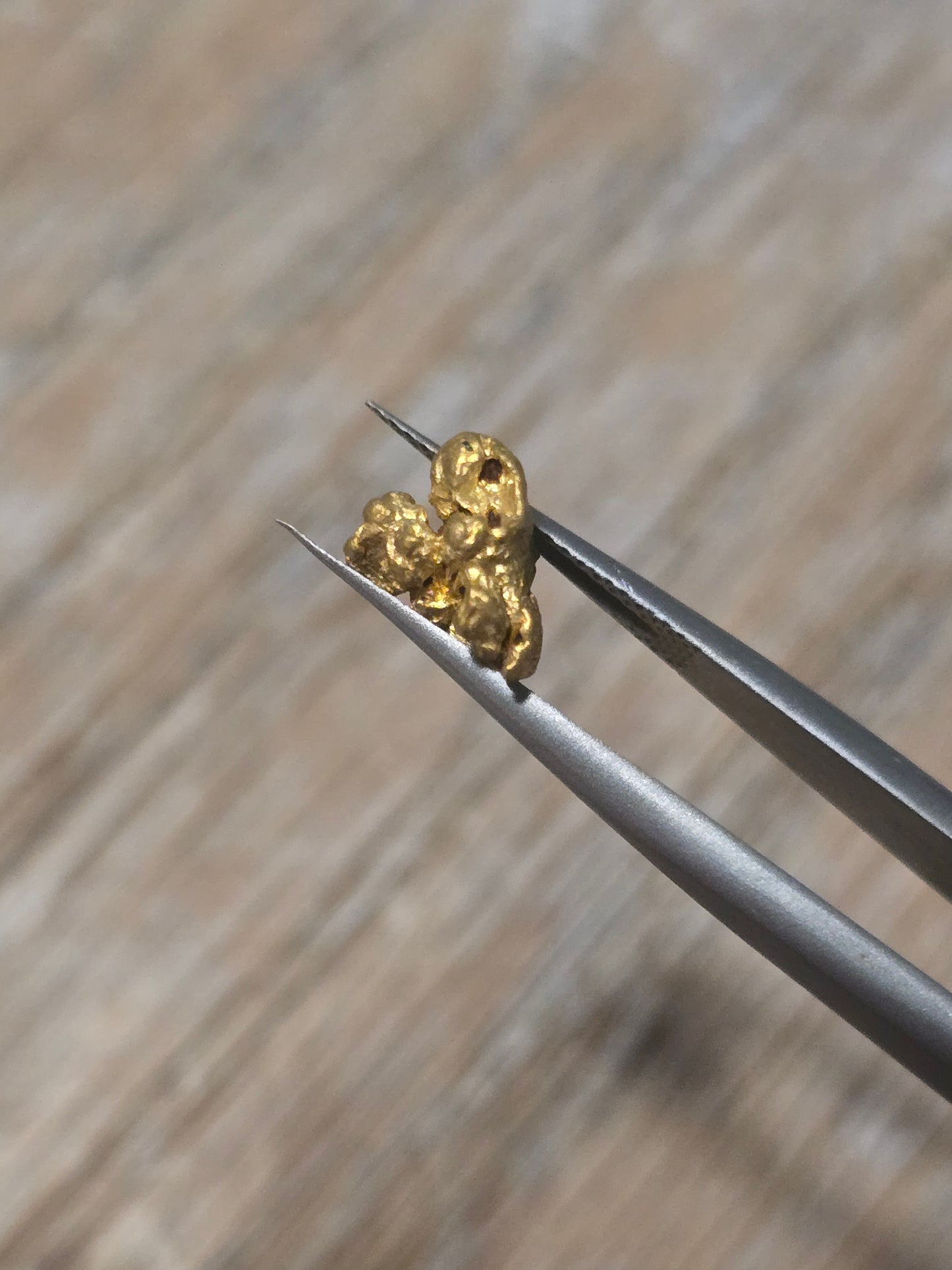 1.418g Clearmont gold nugget