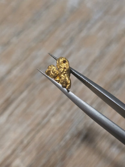 1.418g Clearmont gold nugget