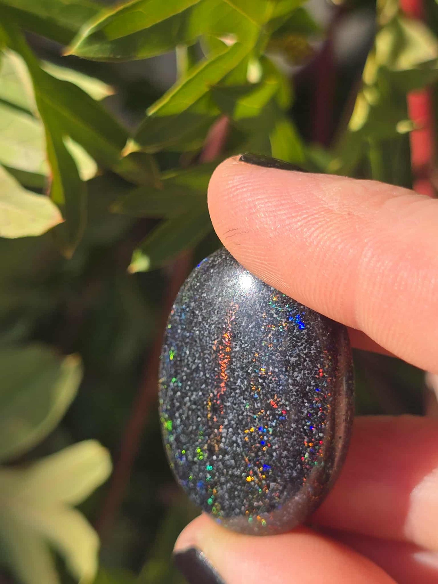 Queensland Fairy Boulder Opal 53ct