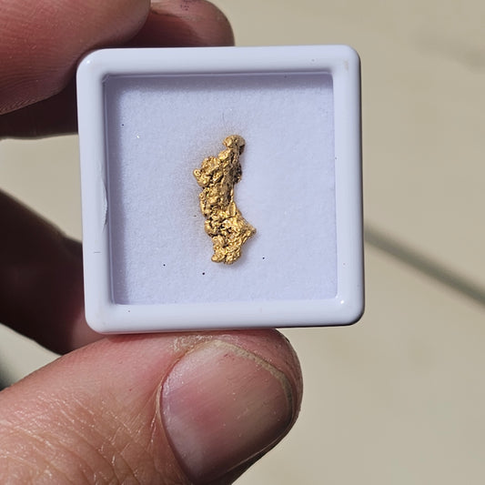 1.08g Rushworth Gold Nugget