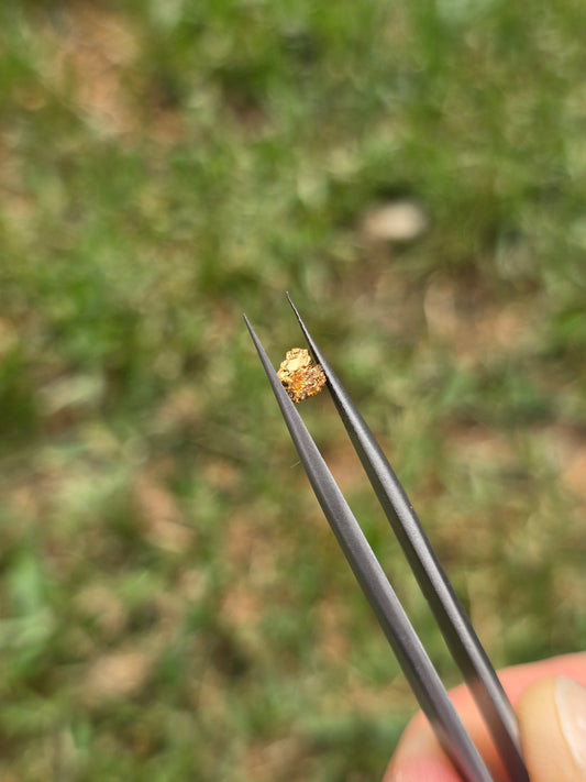 0.24g Gold Nugget