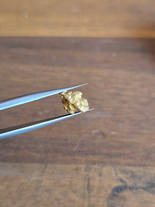 1.59g Gold Nugget
