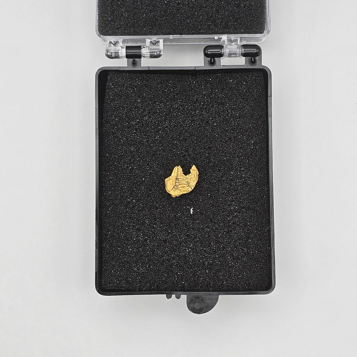 0.62g Bendigo Gold Nugget