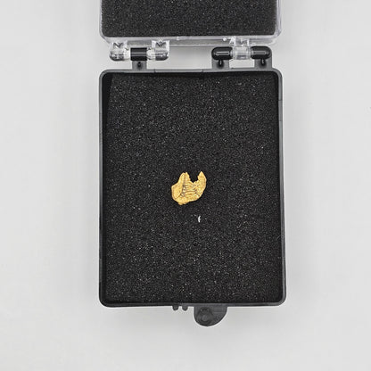 0.62g Bendigo Gold Nugget