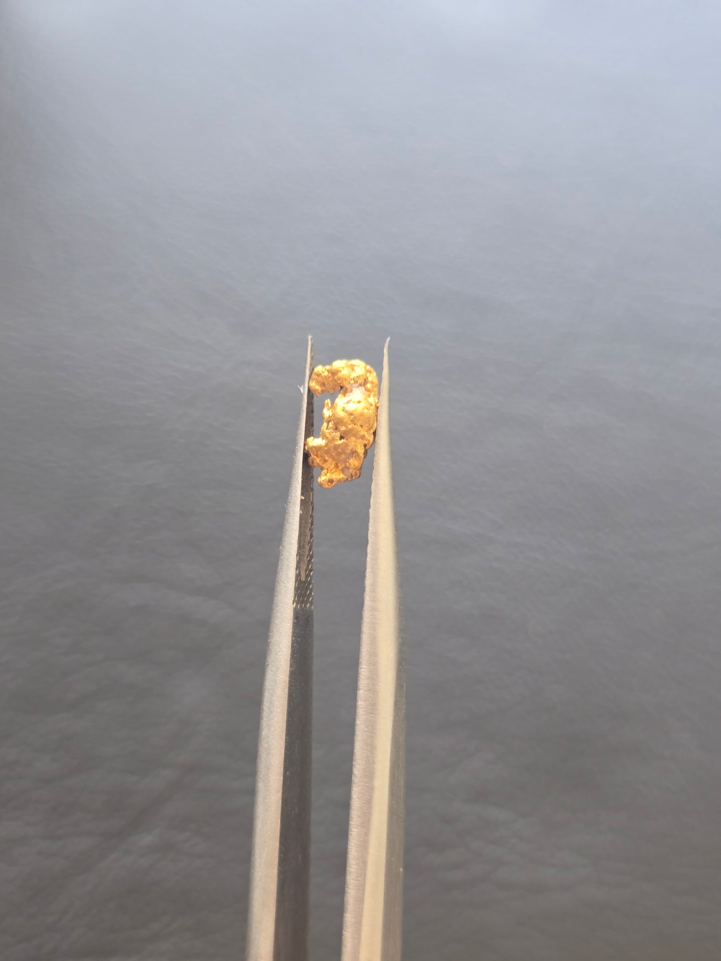 0.41g Gold Nugget