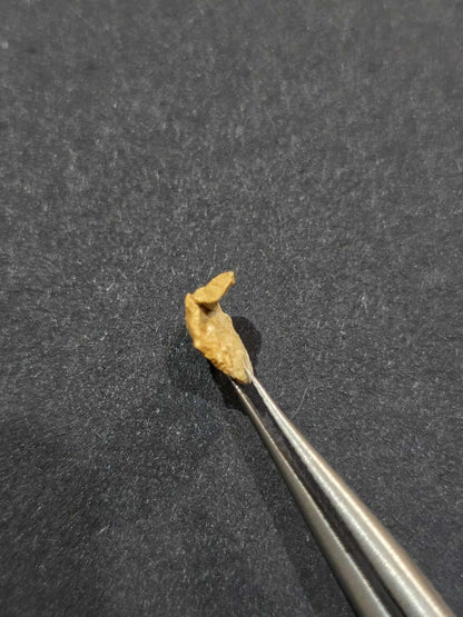 0.446 gold leaf nugget