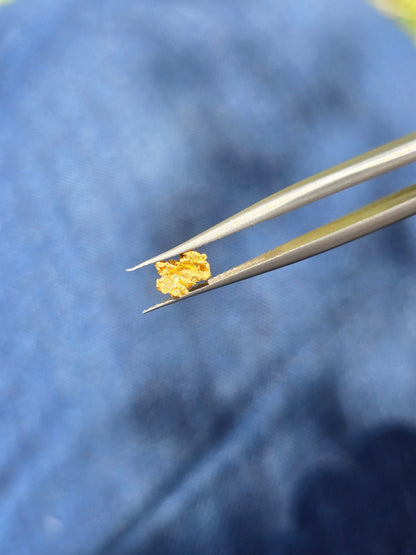 0.234 Gold Nugget