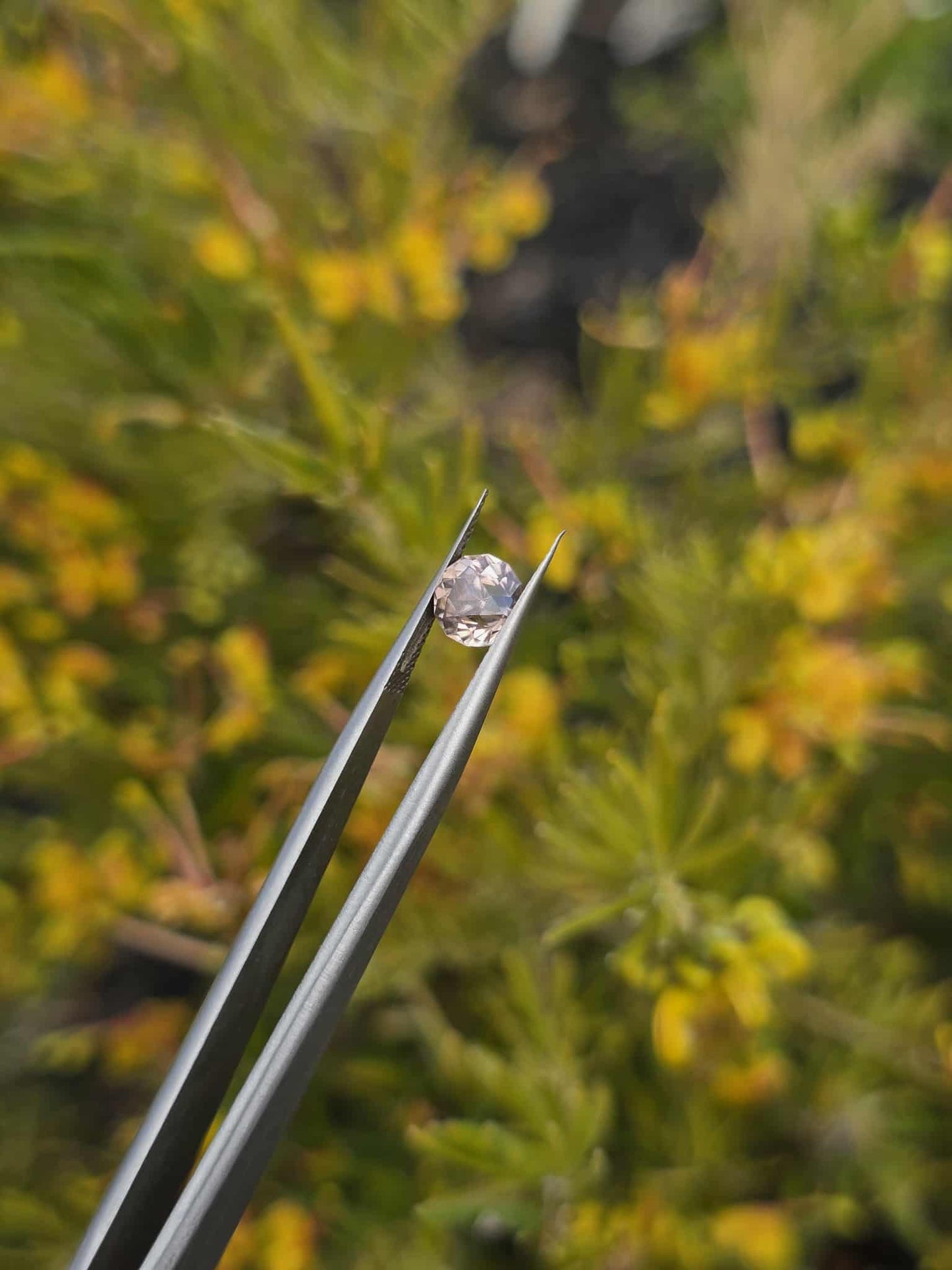 Pink Zircon