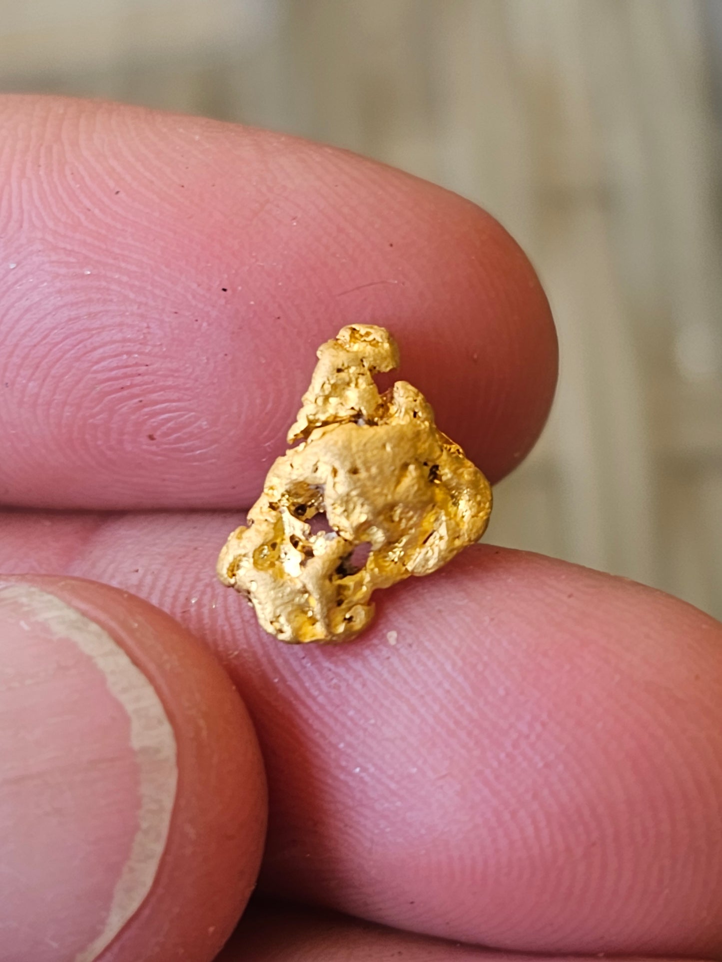 Alluvial Gold Nugget From Castlemaine 1.44 Grams